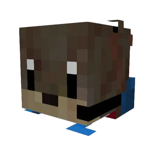 Cotter64 Minecraft avatar head, 3D render