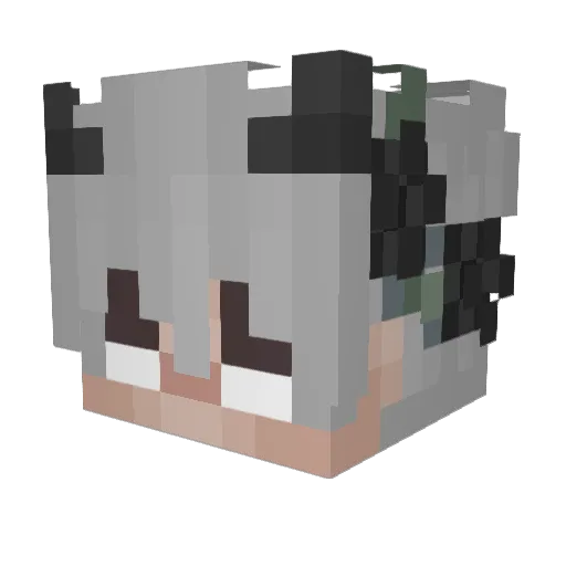 CottomfarmerZywa Minecraft avatar head, 3D render
