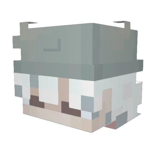 CottonFrosty Minecraft avatar head, 3D render
