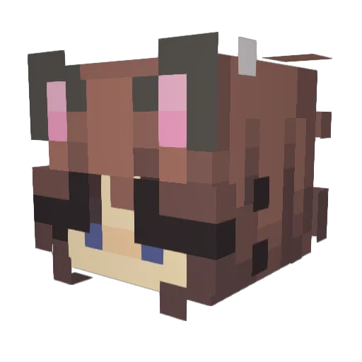 CottonKitty0 Minecraft avatar head, 3D render