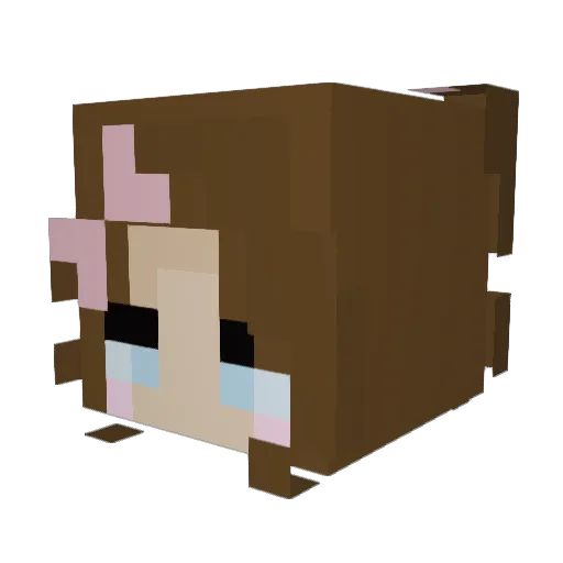 CottonPanda1 Minecraft avatar head, 3D render