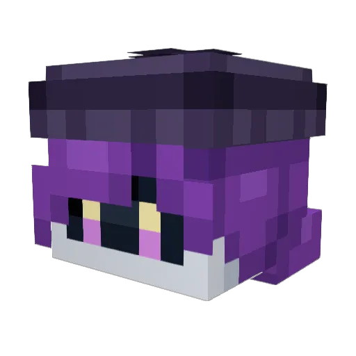 CottonStufff Minecraft avatar head, 3D render