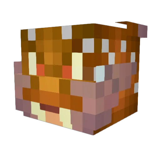 Cottonpicks69BLM Minecraft avatar head, 3D render