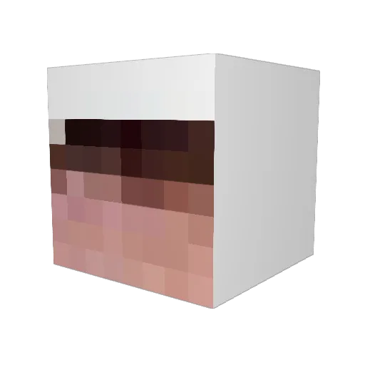 CouTom Minecraft avatar head, 3D render
