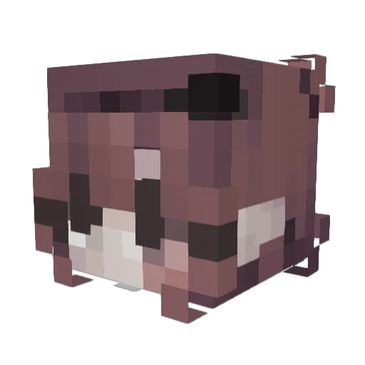 CouerBrise Minecraft avatar head, 3D render