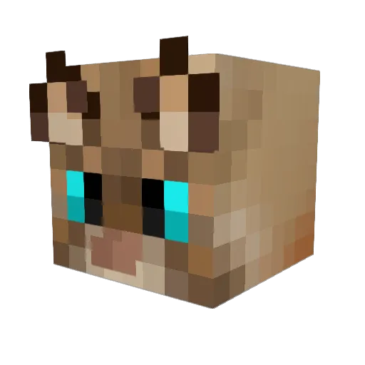 CougarClaw06 Minecraft avatar head, 3D render