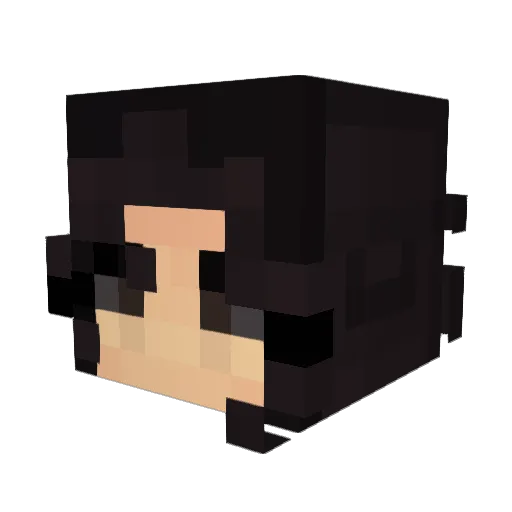 CouldBeDumpster Minecraft avatar head, 3D render