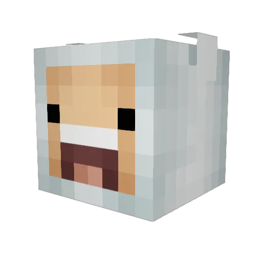 CouldBeHelpful Minecraft avatar head, 3D render