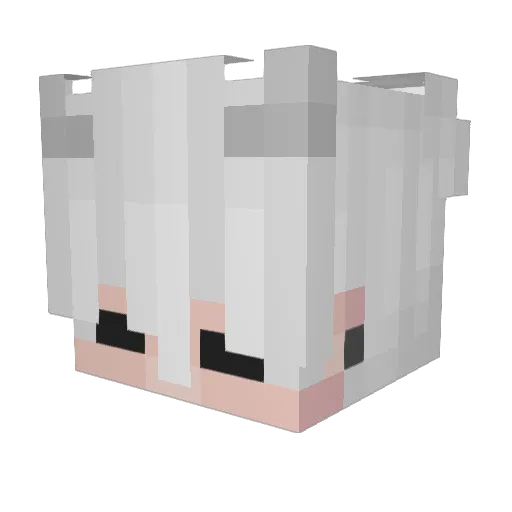 CouldNotRelate Minecraft avatar head, 3D render