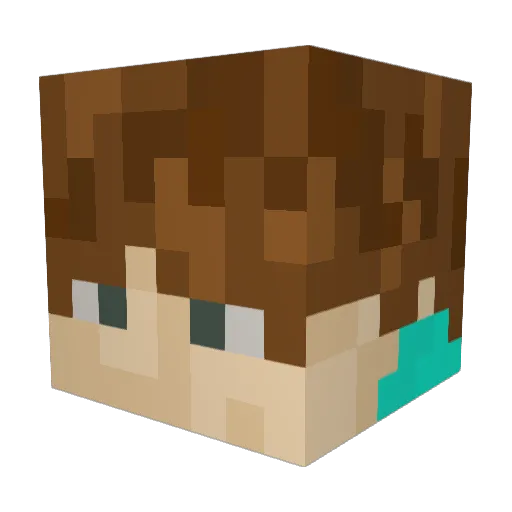 Coulie Minecraft avatar head, 3D render