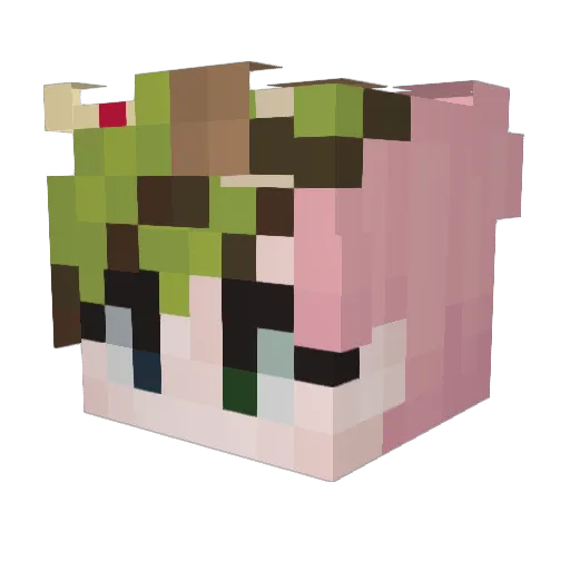 CountCordycept Minecraft avatar head, 3D render