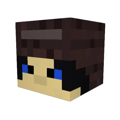CountFlavorText Minecraft avatar head, 3D render