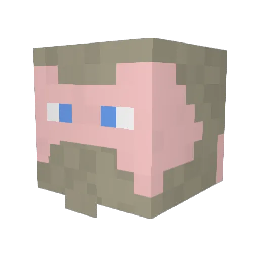 CountGrishnackh Minecraft avatar head, 3D render