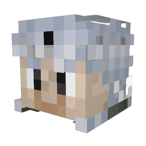 CountHaJo Minecraft avatar head, 3D render