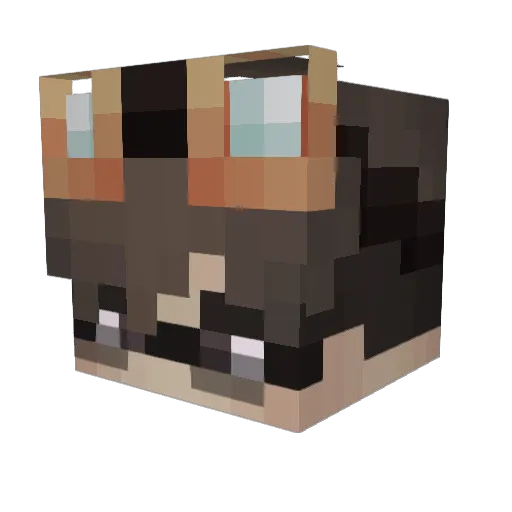 CountKanmi Minecraft avatar head, 3D render