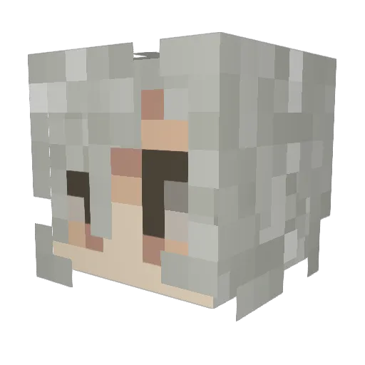 CountKeny Minecraft avatar head, 3D render