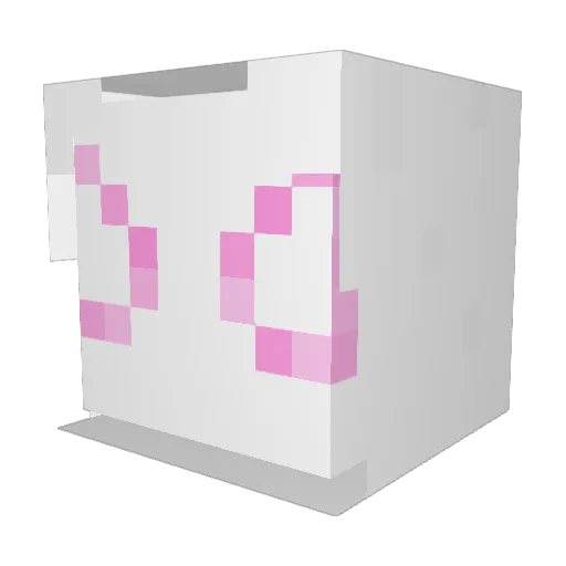 CountedRhino910 Minecraft avatar head, 3D render
