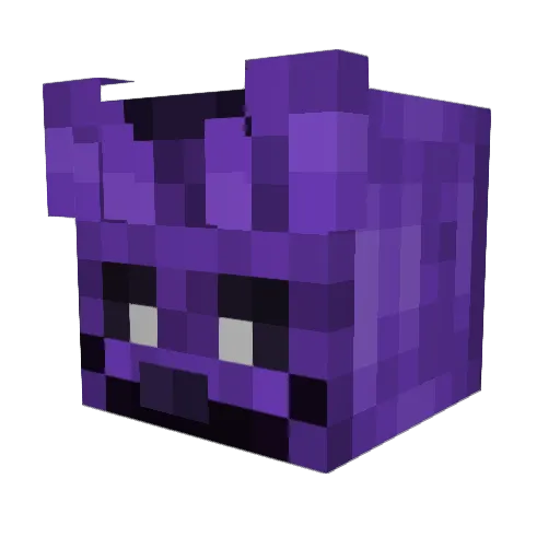 CounterCat Minecraft avatar head, 3D render