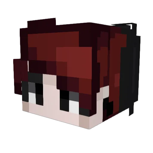 CounterKoala Minecraft avatar head, 3D render