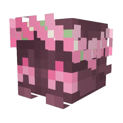 CounterfeitUser Minecraft avatar head, 3D render