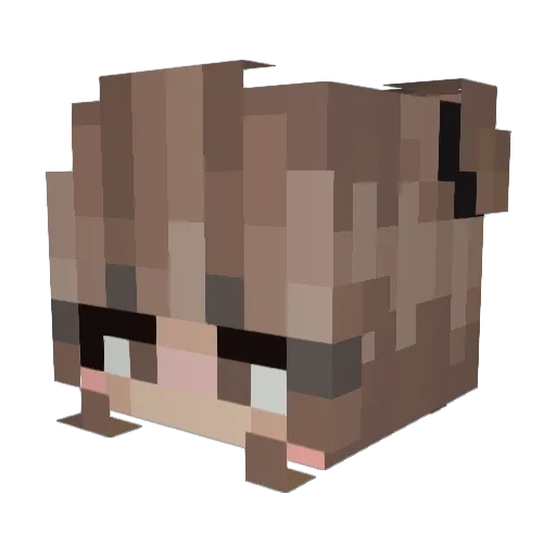 Countess_Ri Minecraft avatar head, 3D render