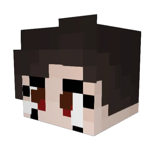 CountingCanary Minecraft avatar head, 3D render