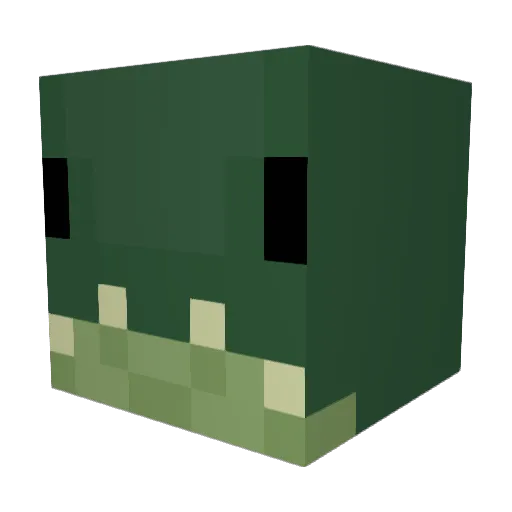 CountingStarz48 Minecraft avatar head, 3D render