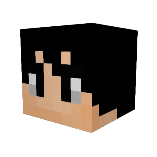 Country4687 Minecraft avatar head, 3D render