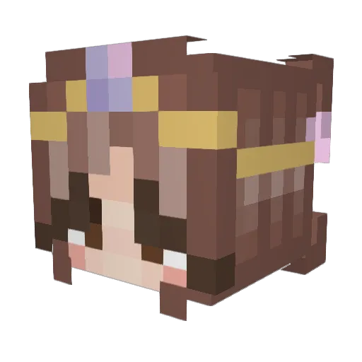 CountryBoyily01 Minecraft avatar head, 3D render