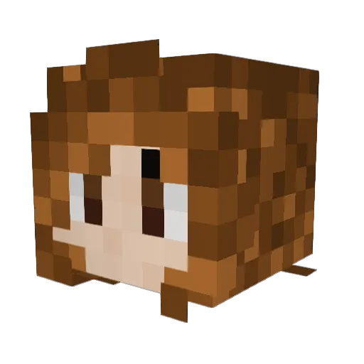 CountryChic Minecraft avatar head, 3D render