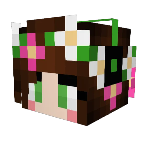 CountryCrafter22 Minecraft avatar head, 3D render