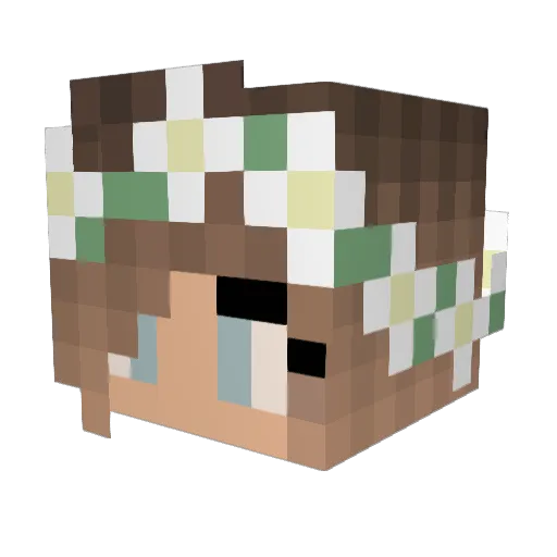CountryGirl71615 Minecraft avatar head, 3D render