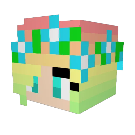 Country_Kitty Minecraft avatar head, 3D render