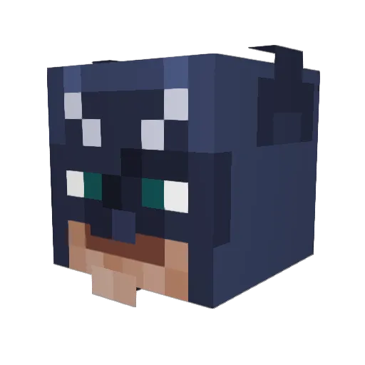 Countryfried24 Minecraft avatar head, 3D render