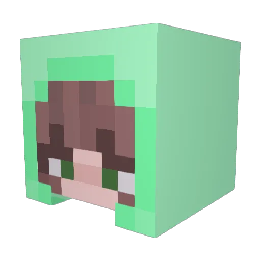 Countryusa2 Minecraft avatar head, 3D render