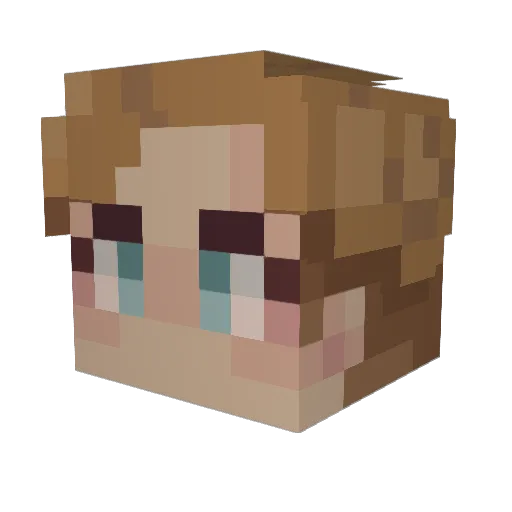 Countyroads20 Minecraft avatar head, 3D render