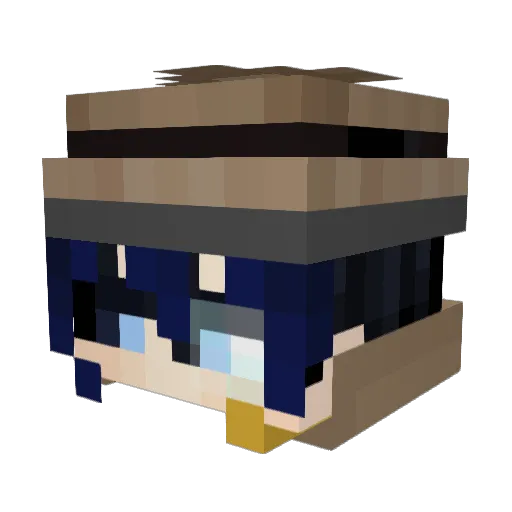 Course_1011 Minecraft avatar head, 3D render