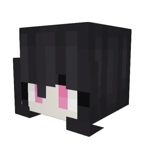 Courseturtle616 Minecraft avatar head, 3D render