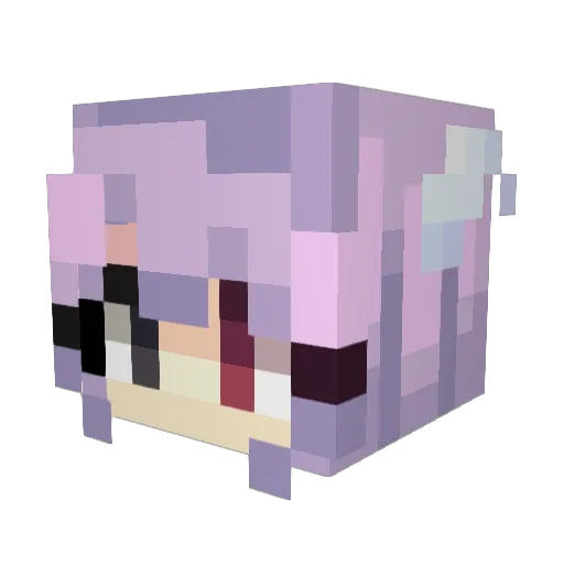 CourtRunner Minecraft avatar head, 3D render