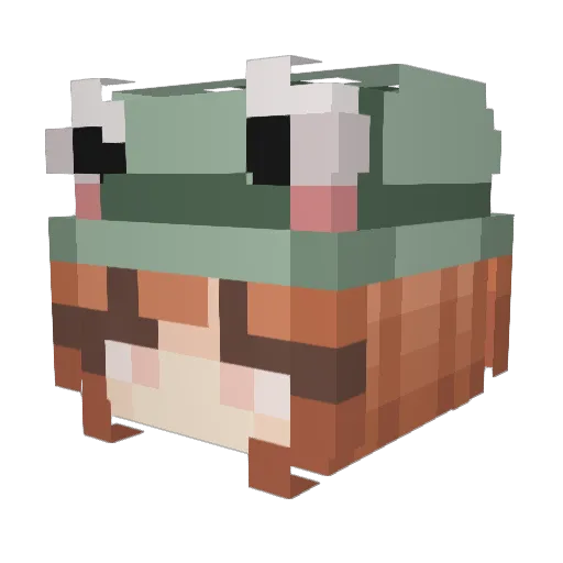 Courterbug Minecraft avatar head, 3D render
