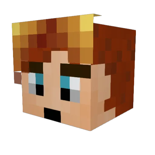 CourtlyOhio Minecraft avatar head, 3D render