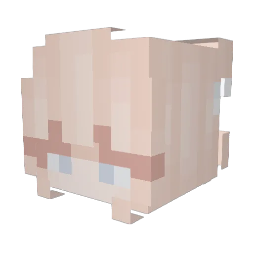 Courtmaster Minecraft avatar head, 3D render