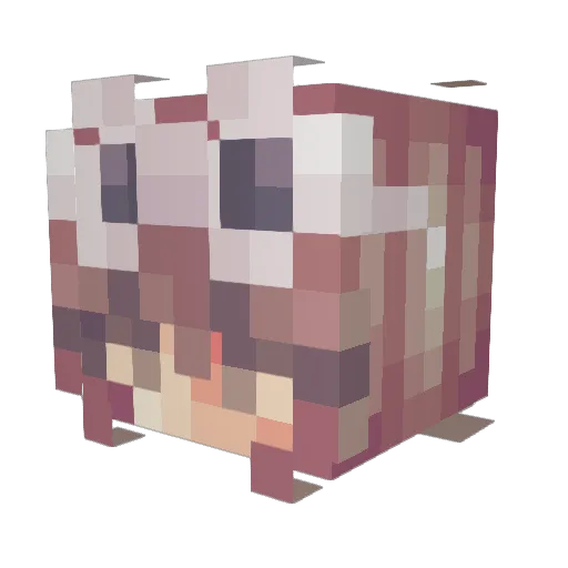Courtneyy13 Minecraft avatar head, 3D render