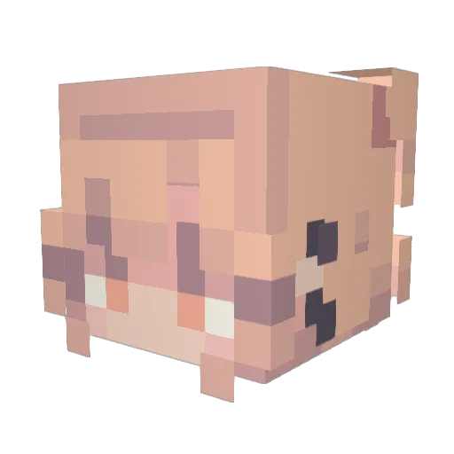 Courtnyee Minecraft avatar head, 3D render