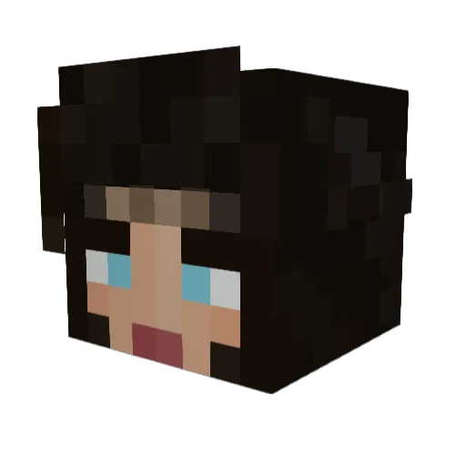 Courts Minecraft avatar head, 3D render