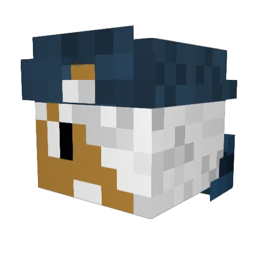Coussemaker Minecraft avatar head, 3D render