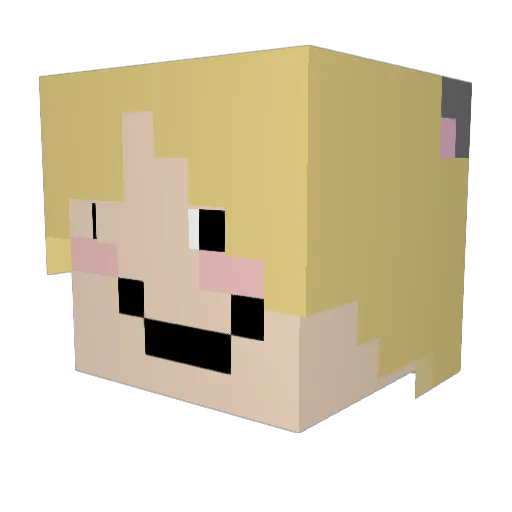 Couxit Minecraft avatar head, 3D render
