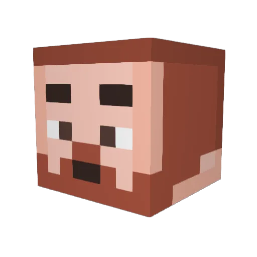 CovaWest Minecraft avatar head, 3D render