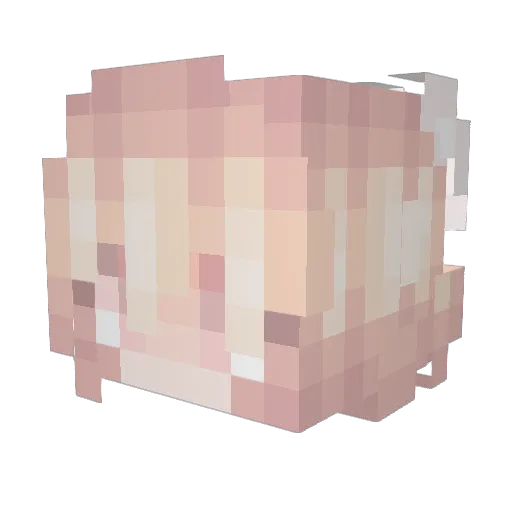 CoveCrew Minecraft avatar head, 3D render