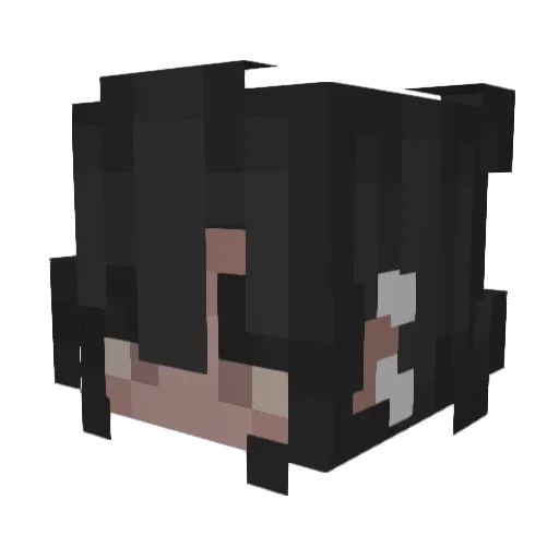 Coveii Minecraft avatar head, 3D render